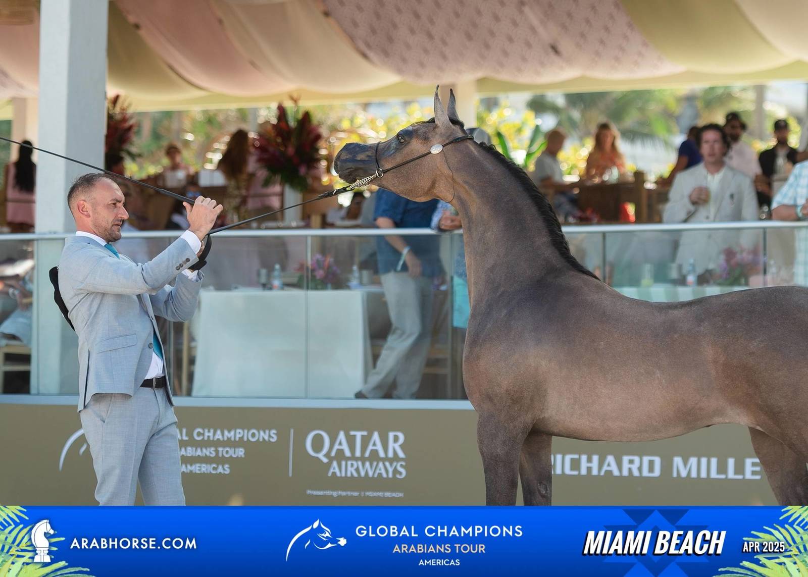  Global Champions Arabians Tour Miami Beach 2025: A Showcase of Champions