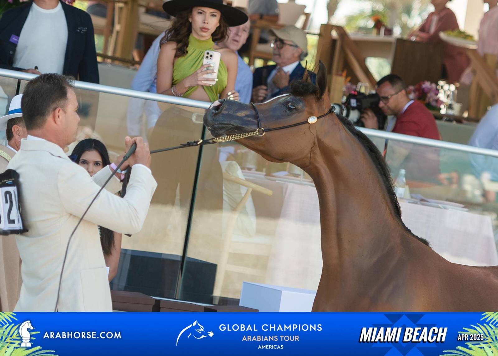  Global Champions Arabians Tour Miami Beach 2025: A Showcase of Champions
