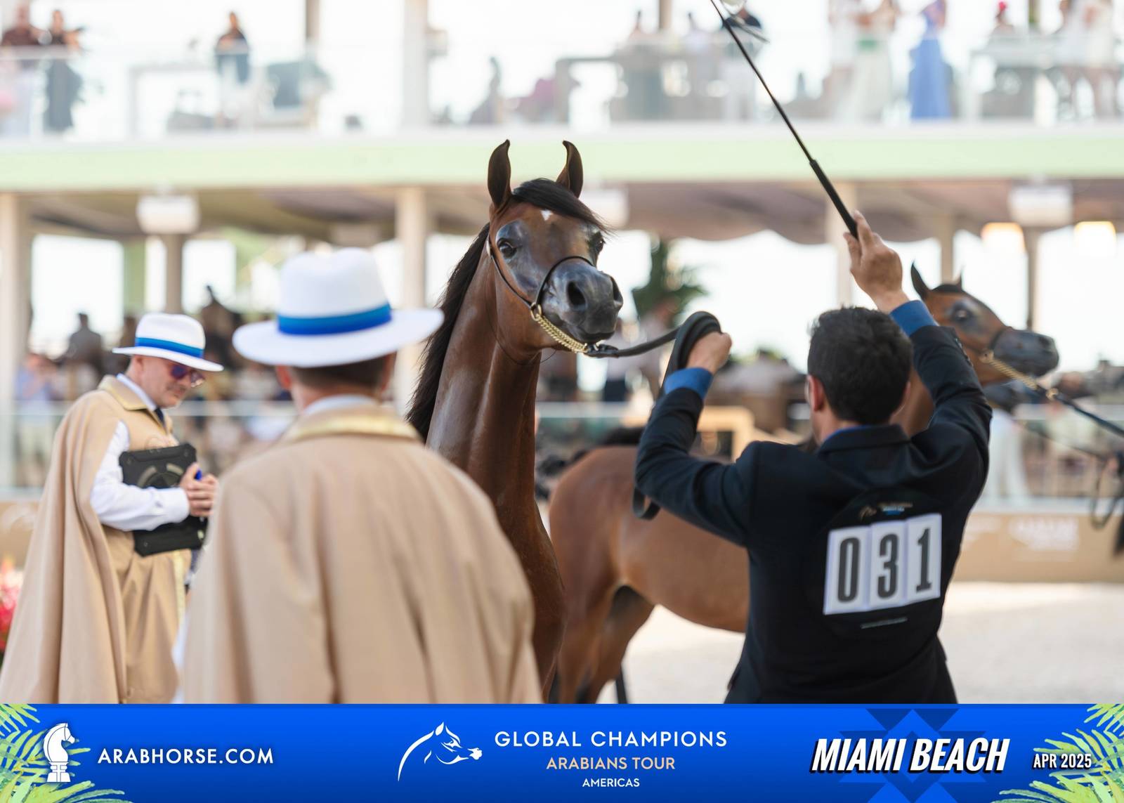  Global Champions Arabians Tour Miami Beach 2025: A Showcase of Champions