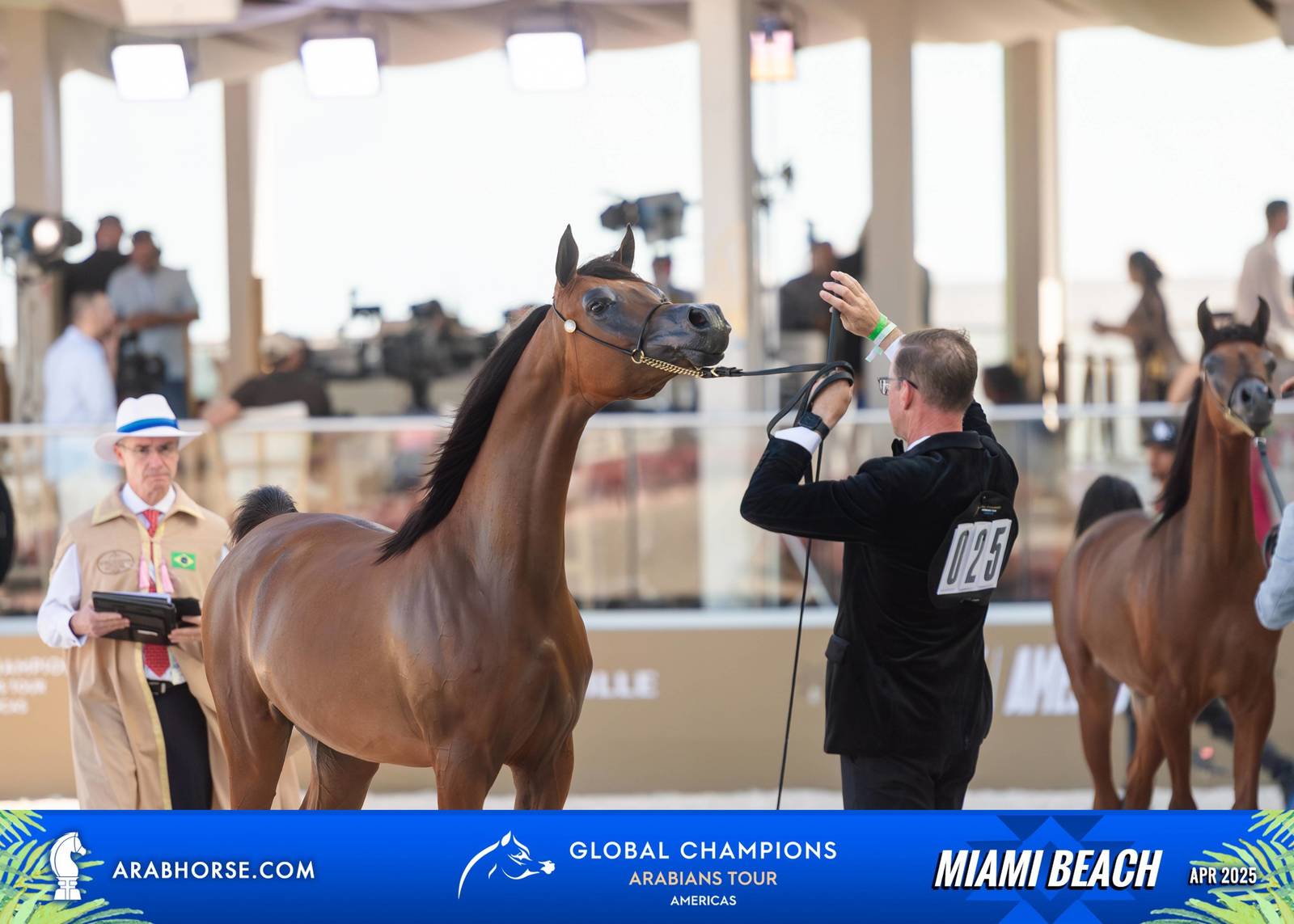  Global Champions Arabians Tour Miami Beach 2025: A Showcase of Champions