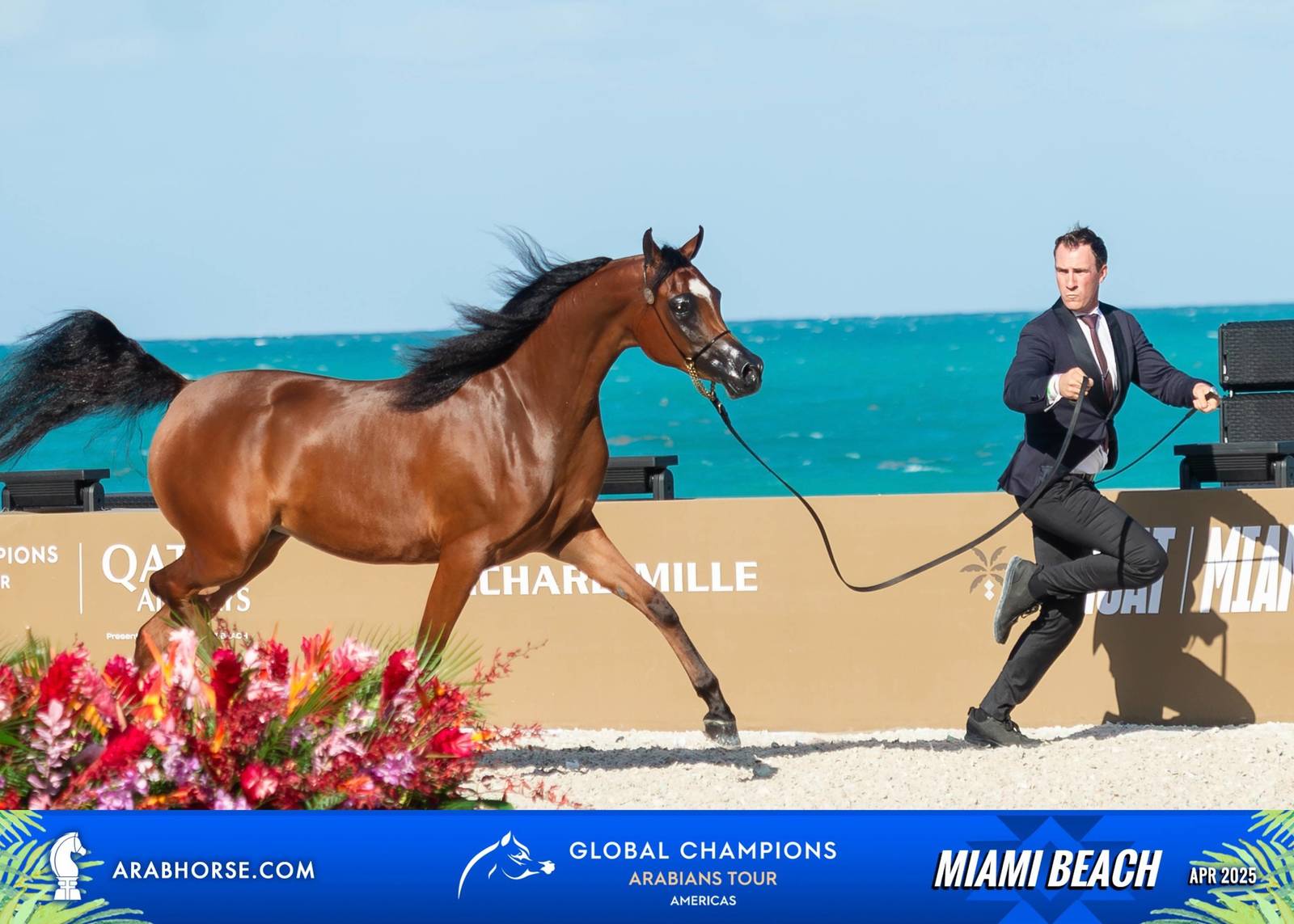  Global Champions Arabians Tour Miami Beach 2025: A Showcase of Champions
