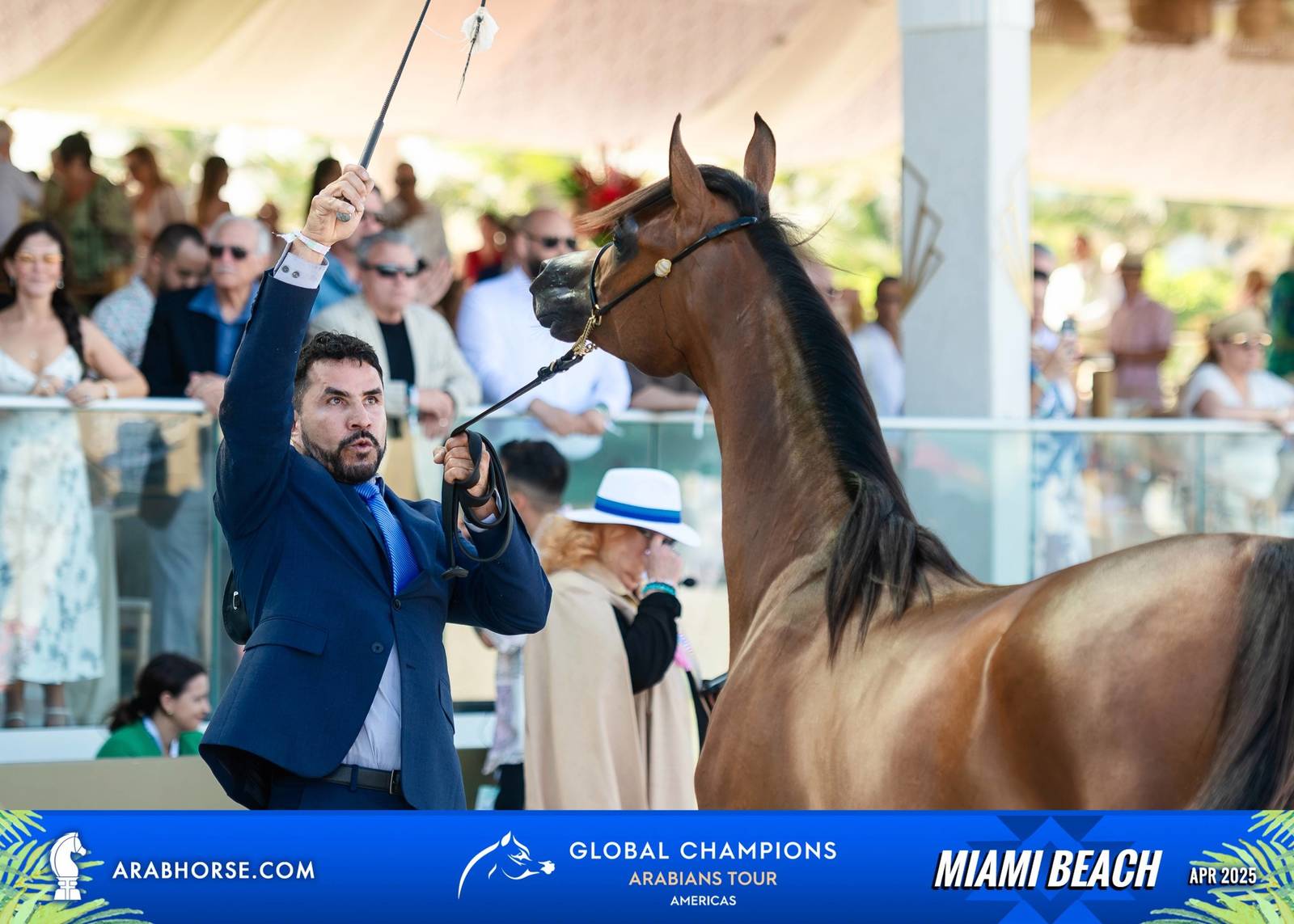  Global Champions Arabians Tour Miami Beach 2025: A Showcase of Champions