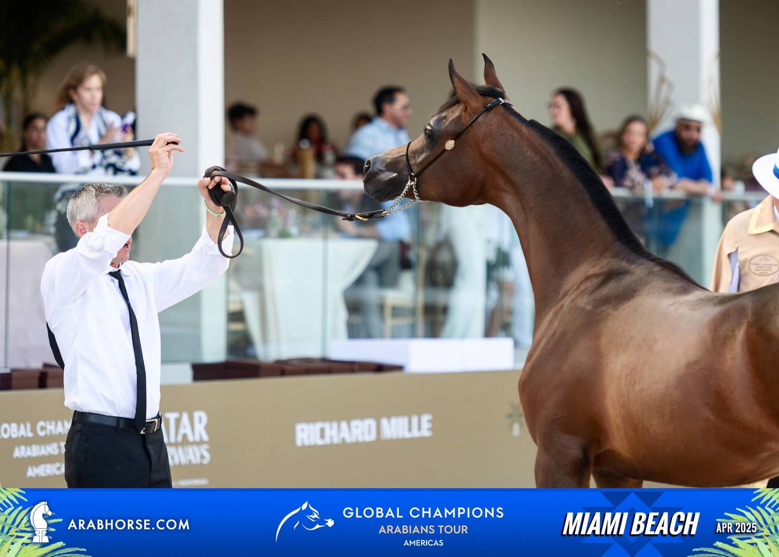  Global Champions Arabians Tour Miami Beach 2025: A Showcase of Champions