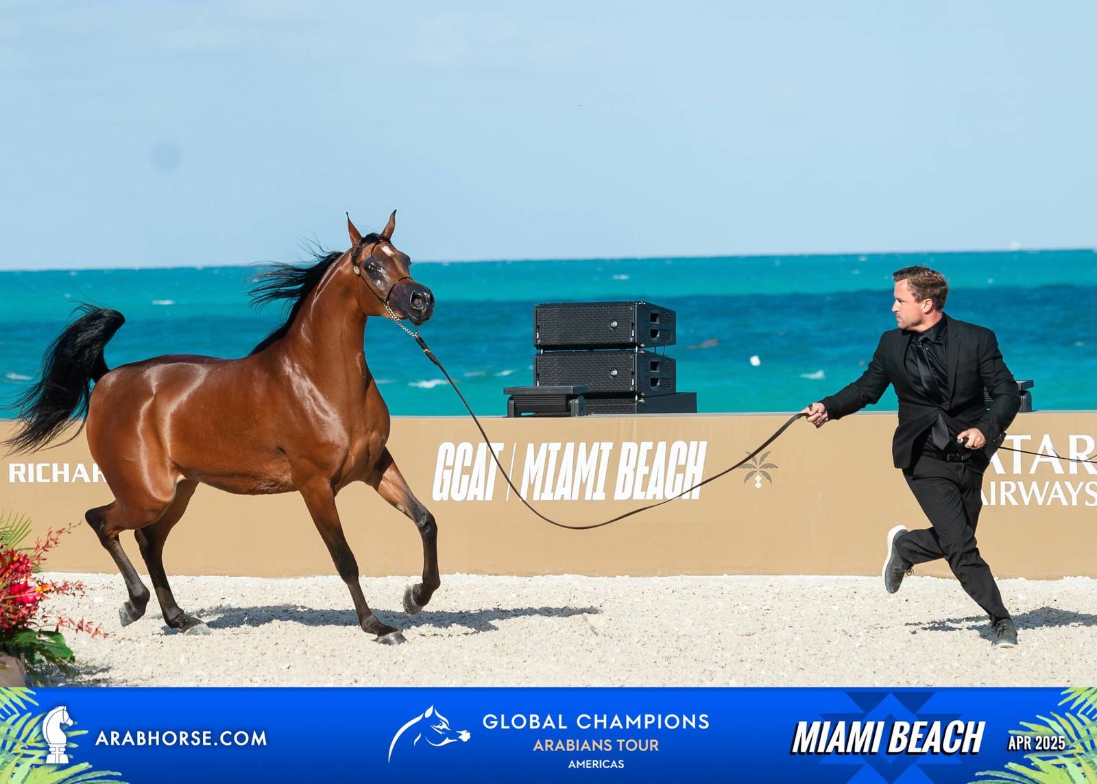  Global Champions Arabians Tour Miami Beach 2025: A Showcase of Champions