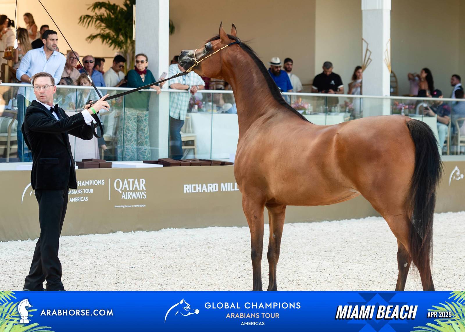  Global Champions Arabians Tour Miami Beach 2025: A Showcase of Champions