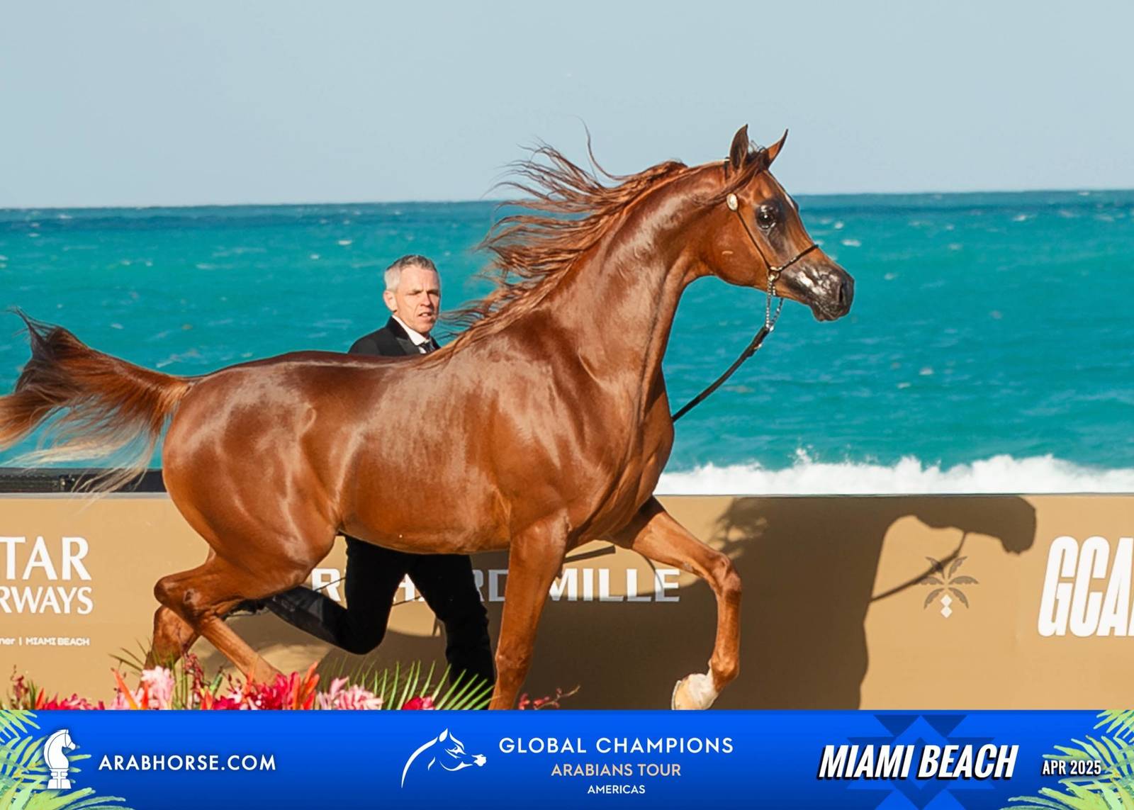  Global Champions Arabians Tour Miami Beach 2025: A Showcase of Champions