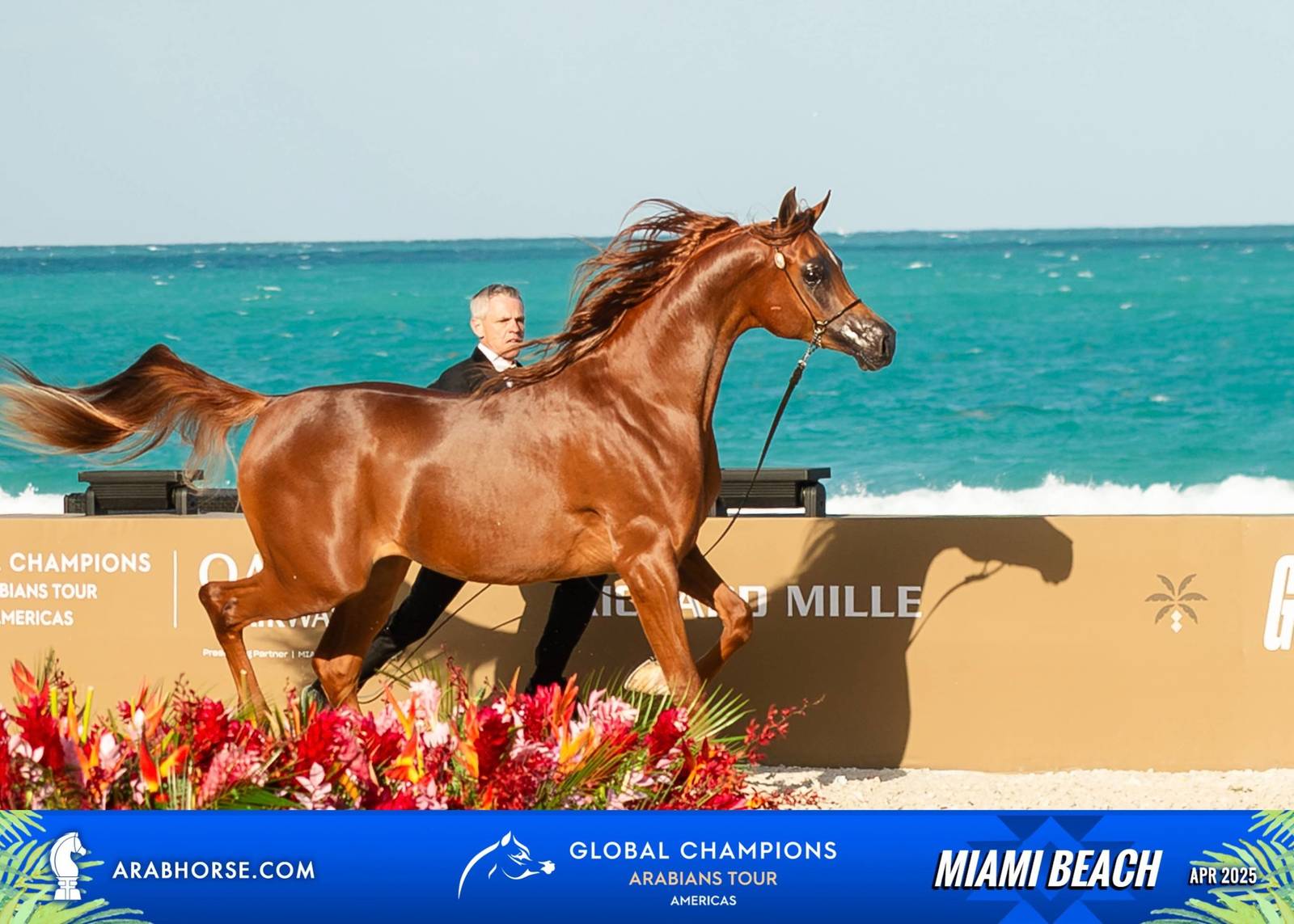  Global Champions Arabians Tour Miami Beach 2025: A Showcase of Champions