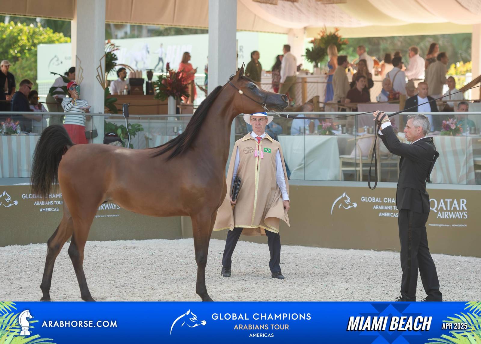  Global Champions Arabians Tour Miami Beach 2025: A Showcase of Champions