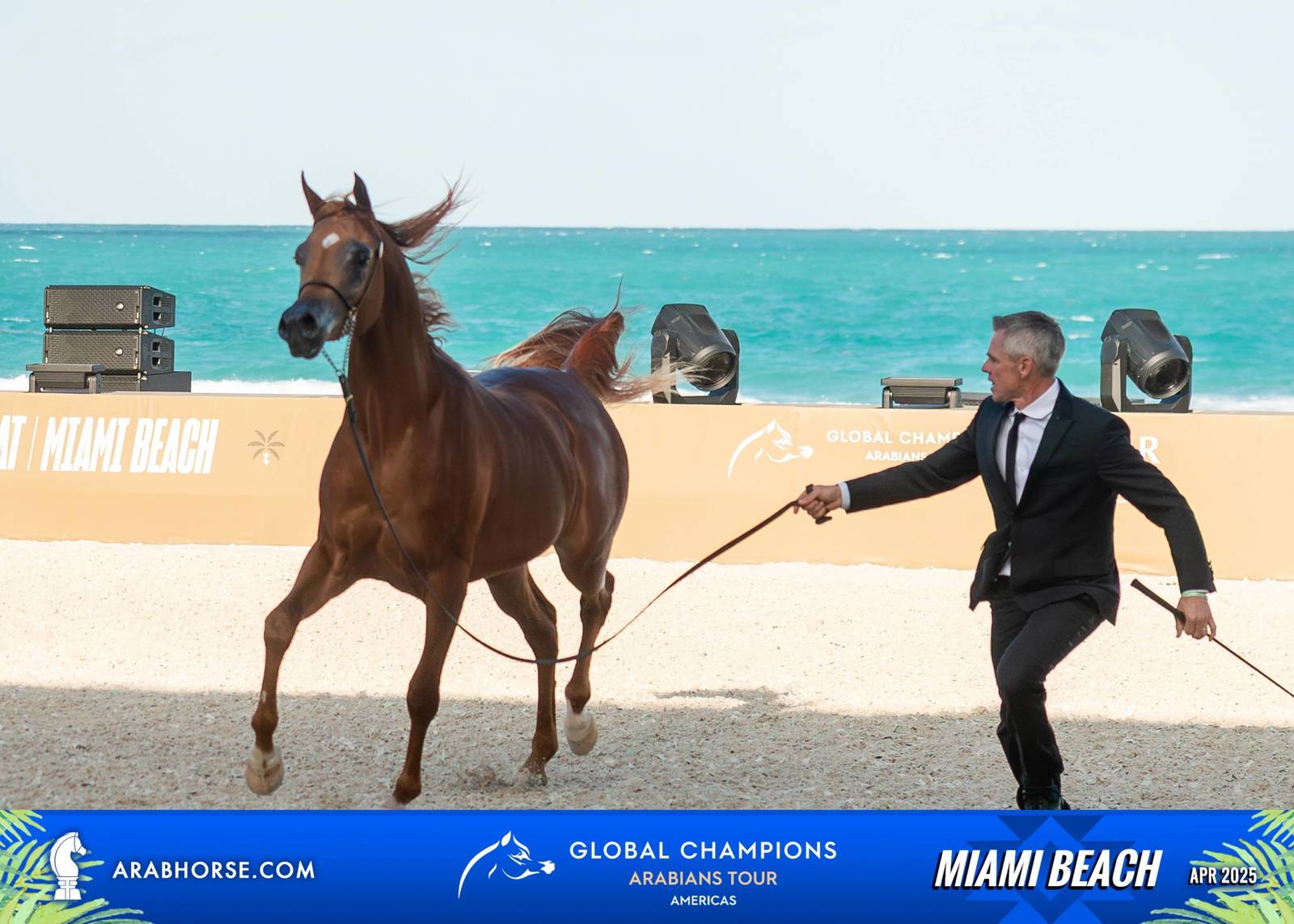  Global Champions Arabians Tour Miami Beach 2025: A Showcase of Champions