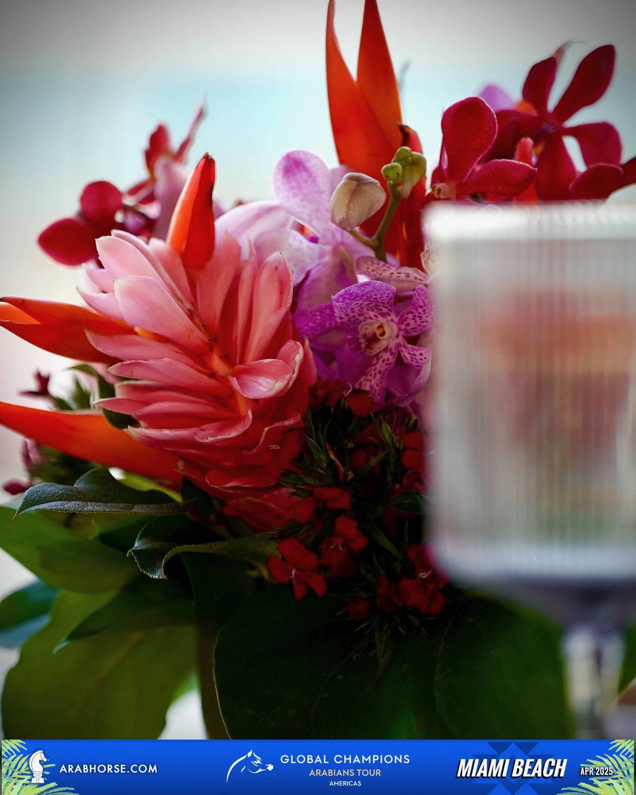 2025 GCAT MIAMI BEACH: Photo Gallery