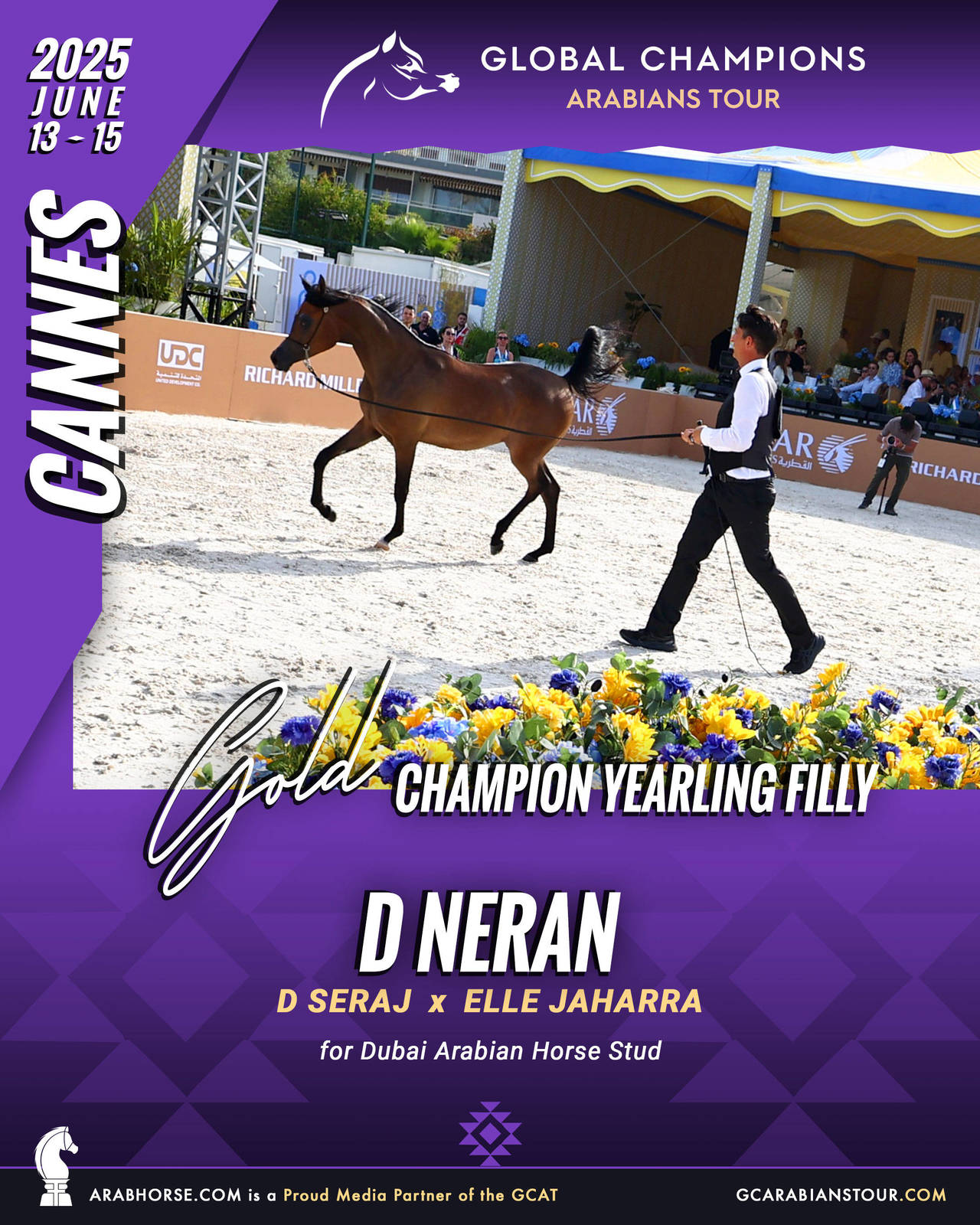 GOLD Yearling Fillies Champion - GCAT Cannes 2025