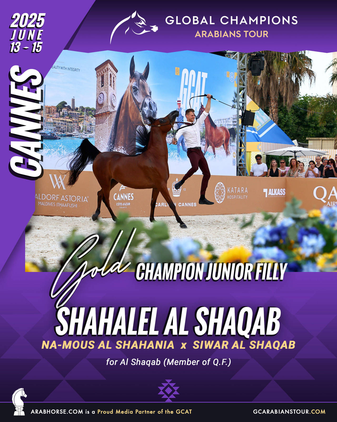 GOLD Junior Fillies Champion - GCAT Cannes 2025