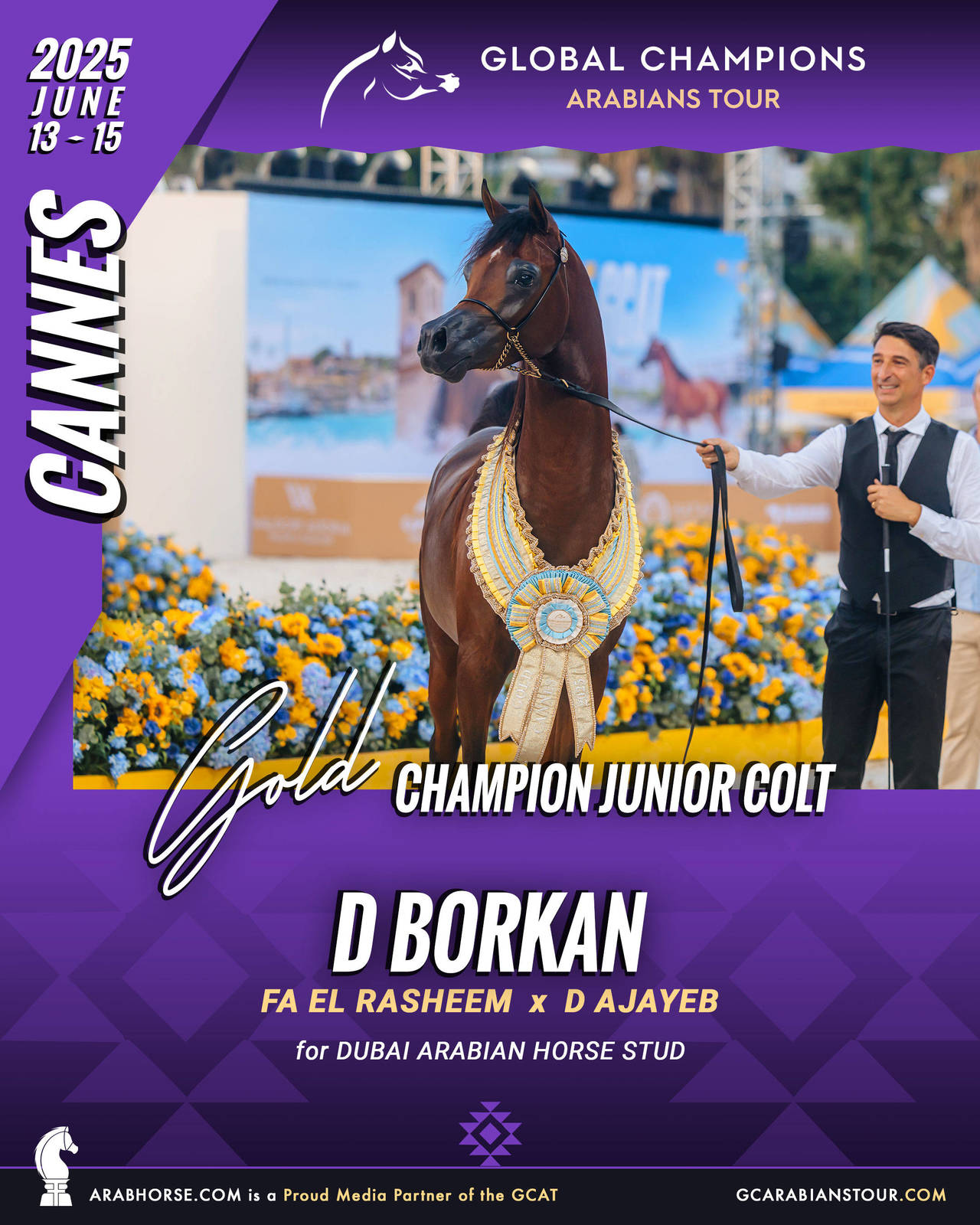 GOLD Junior Colts Champion - GCAT Cannes 2025