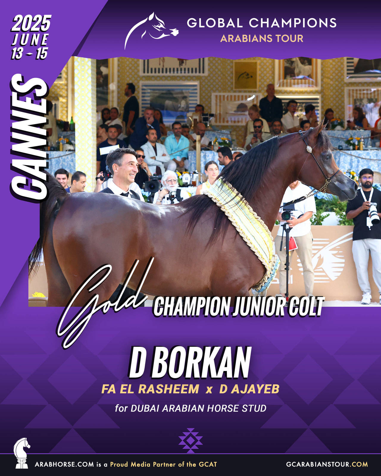 GOLD Junior Colts Champion - GCAT Cannes 2025