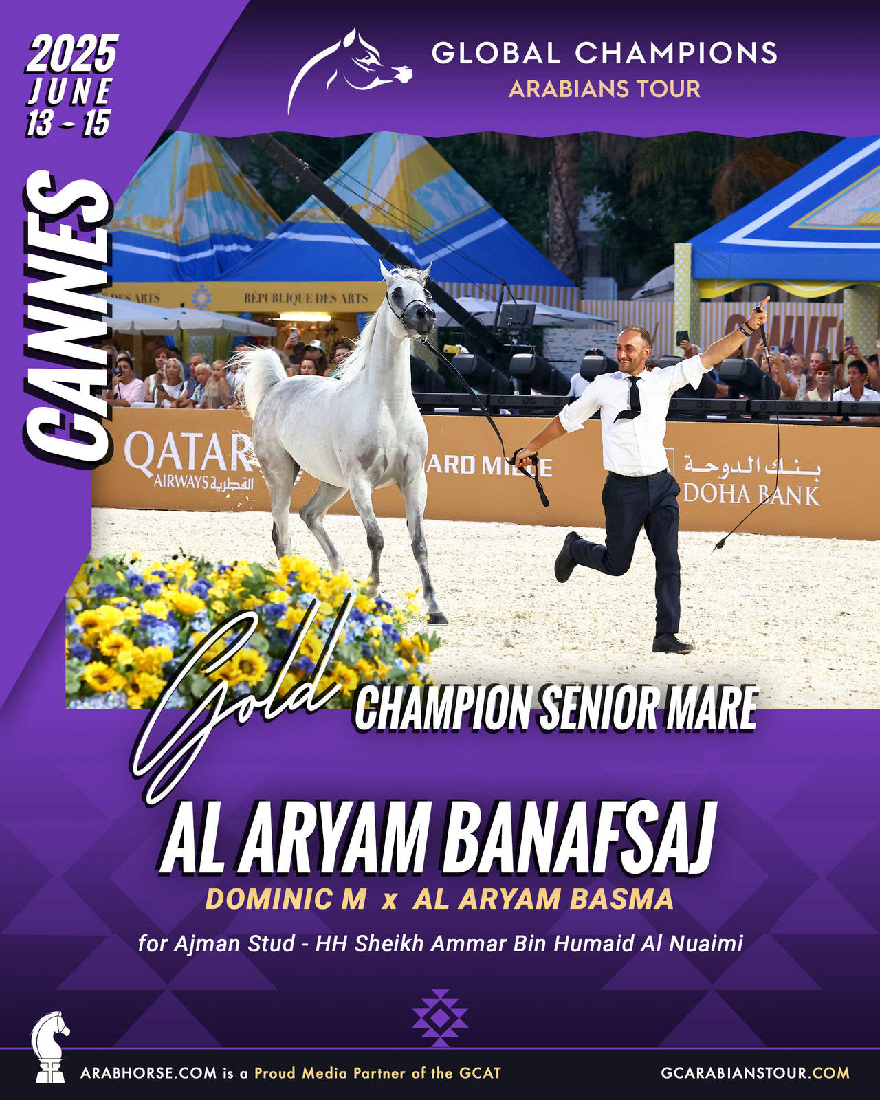 GOLD Senior Mares Champion - GCAT Cannes 2025