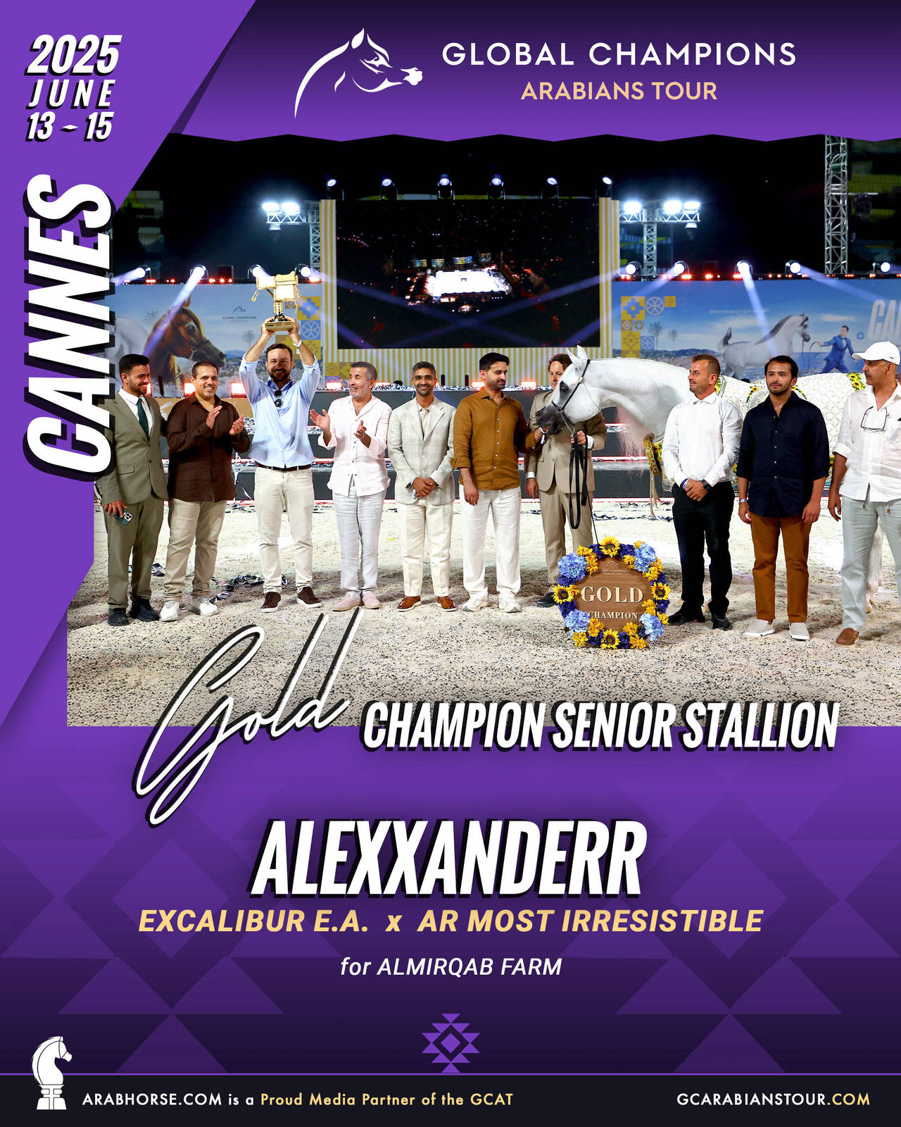 GOLD Senior Stallions Champion - GCAT Cannes 2025