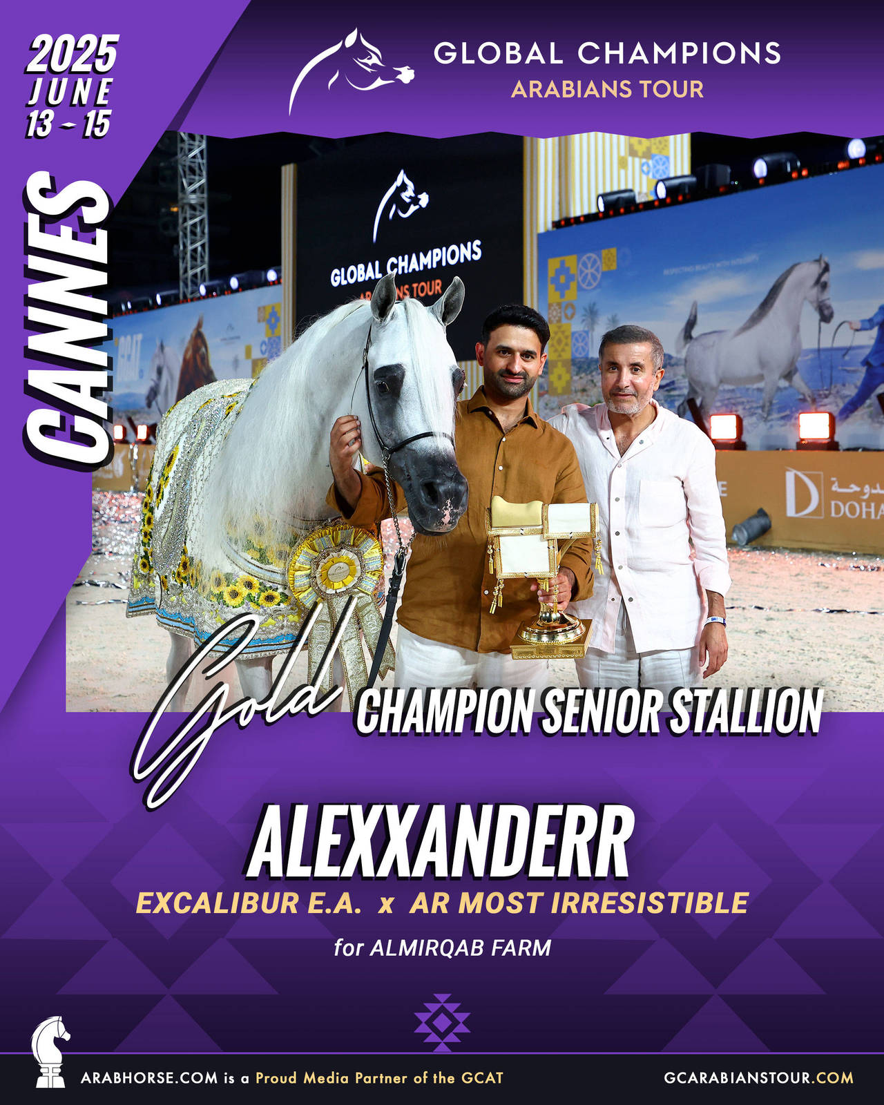 GOLD Senior Stallions Champion - GCAT Cannes 2025