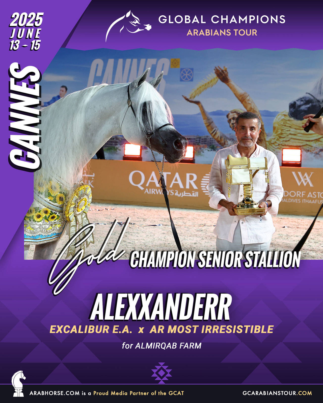 GOLD Senior Stallions Champion - GCAT Cannes 2025