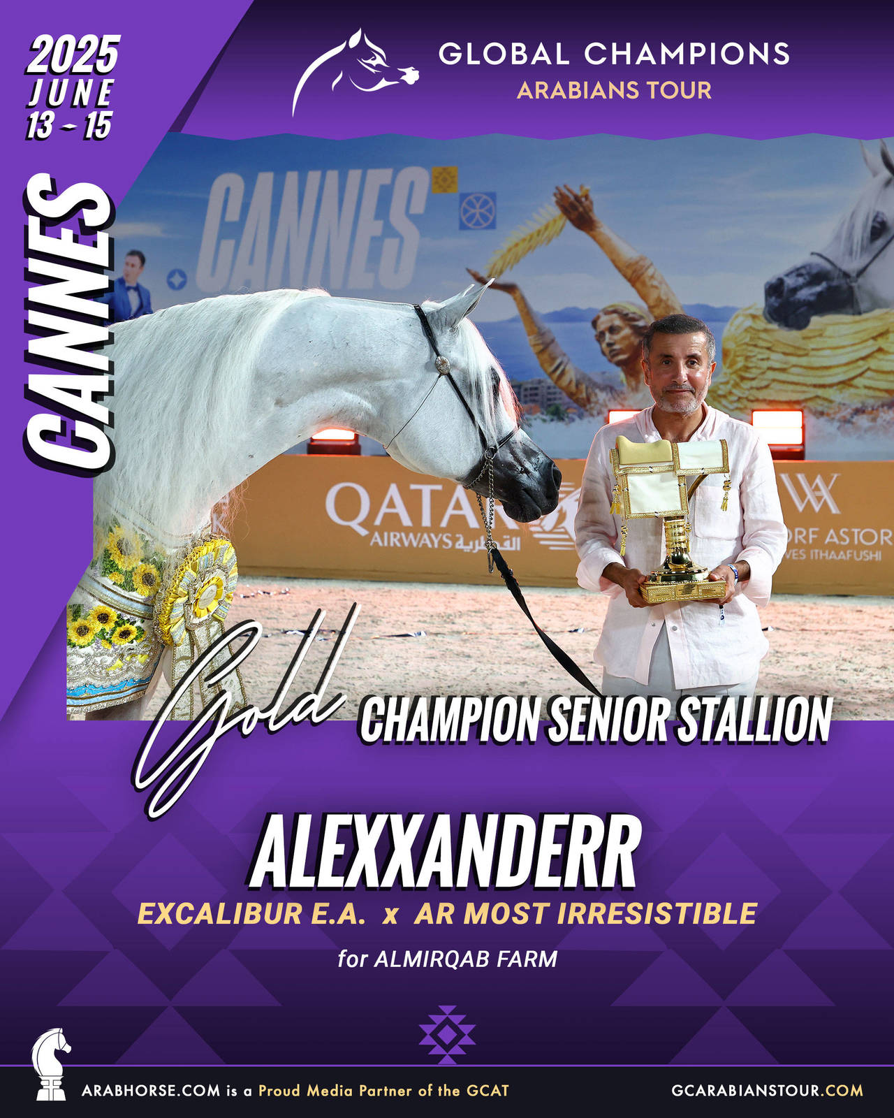 GOLD Senior Stallions Champion - GCAT Cannes 2025