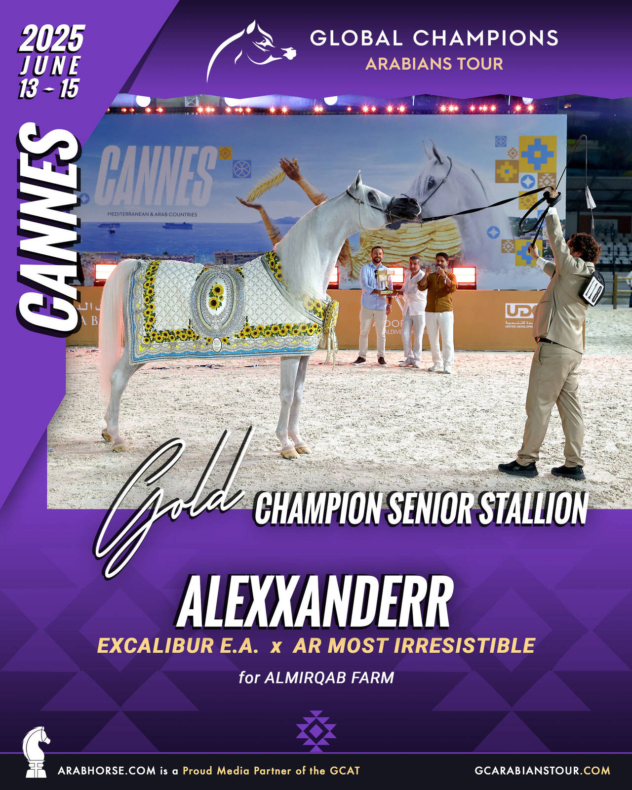 GOLD Senior Stallions Champion - GCAT Cannes 2025