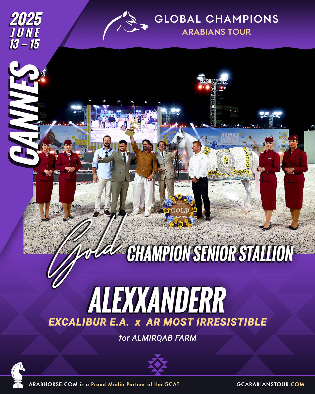 GOLD Senior Stallions Champion - GCAT Cannes 2025
