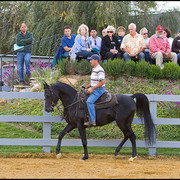 Nightstar SMF  - by BB Thee Renegade x Shaia+ 