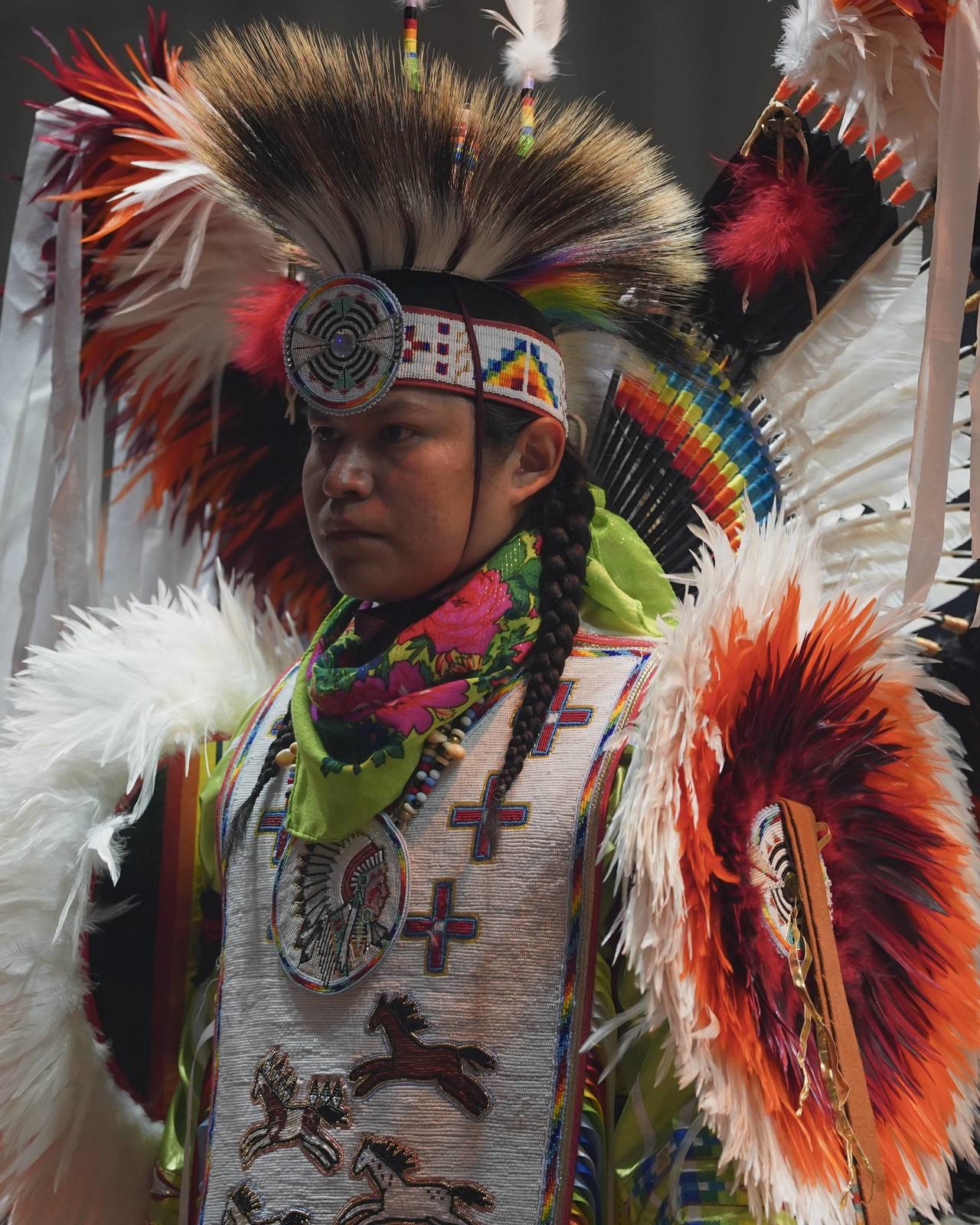 Global Champions Arabians Tour Returns to Scottsdale