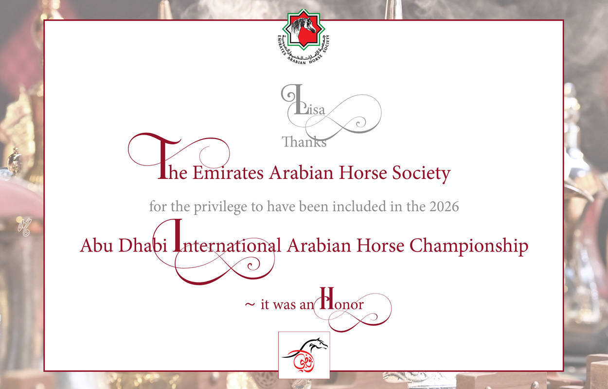 Lisa Abraham: The 2026 Abu Dhabi International Arabian Horse Championship Photo Gallery