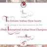 Lisa Abraham: The 2026 Abu Dhabi International Arabian Horse Championship Photo Gallery