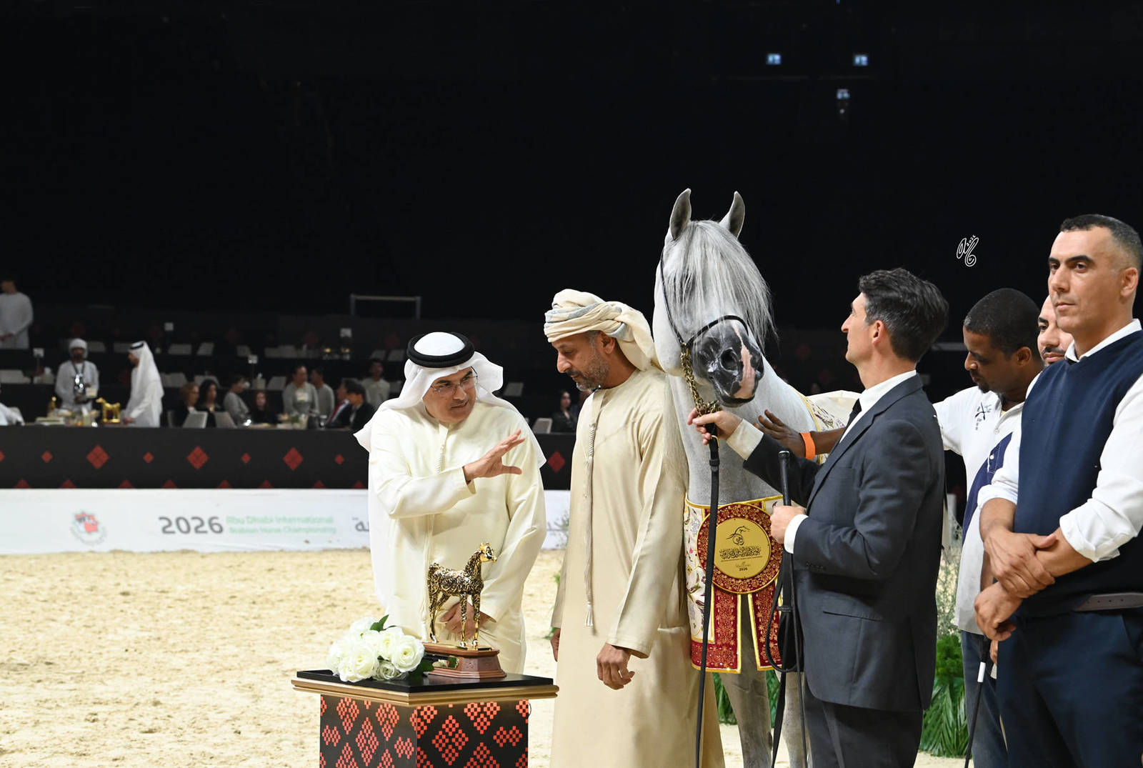 Senior Stallion Gold Champion: D Seraj 