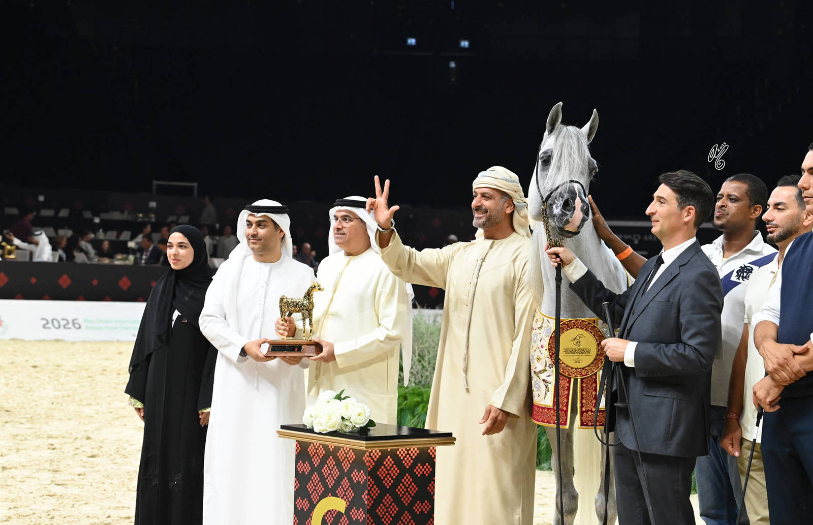 Senior Stallion Gold Champion: D Seraj 