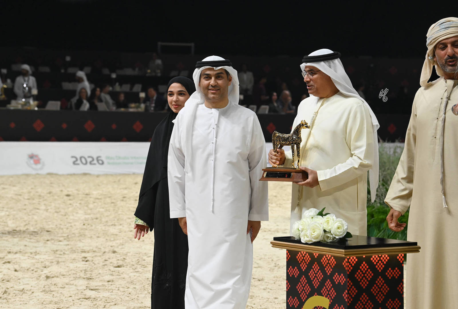 Senior Stallion Gold Champion: D Seraj 