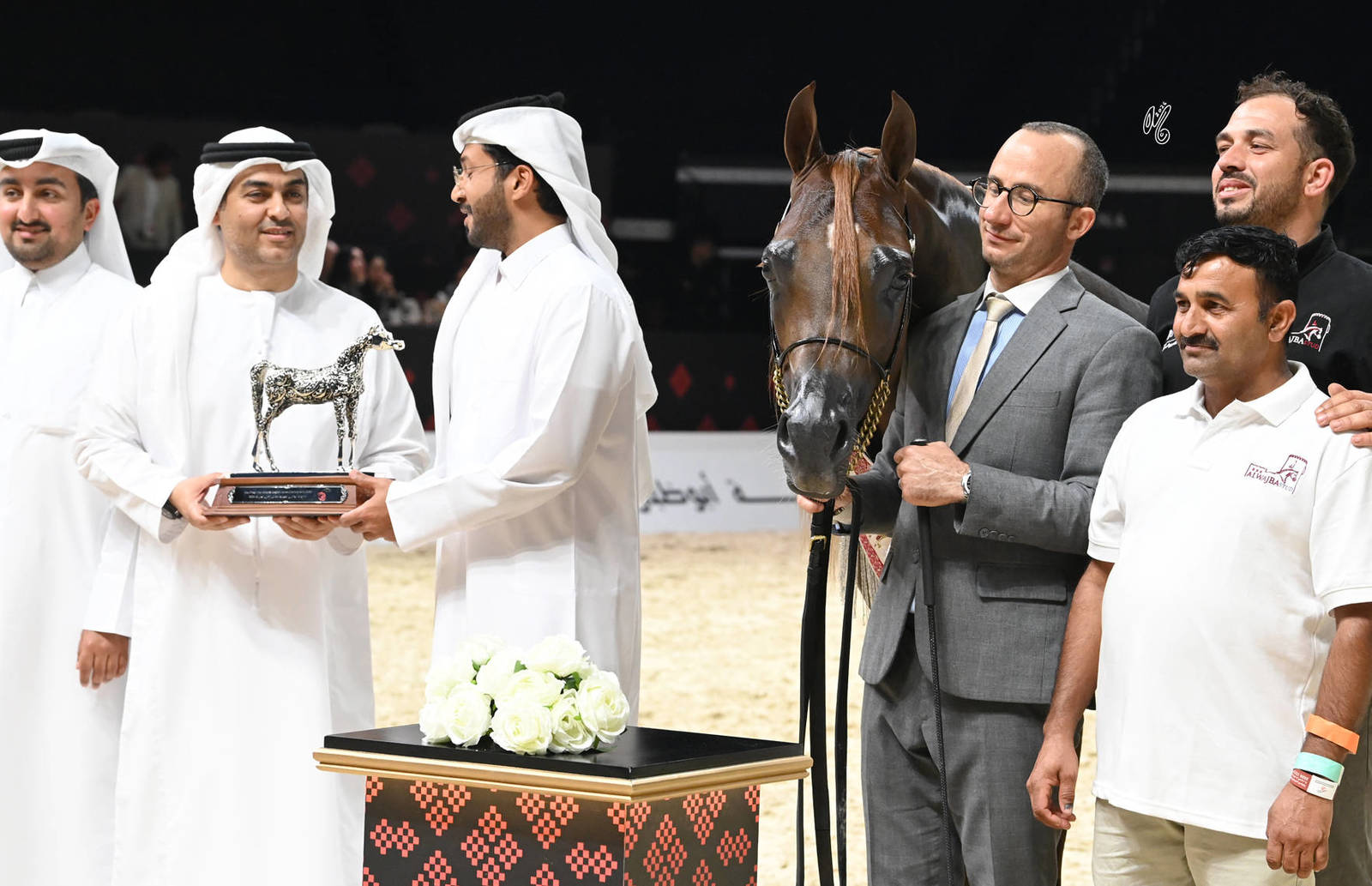 Senior Stallion Silver Champion: STA High Voltaj 