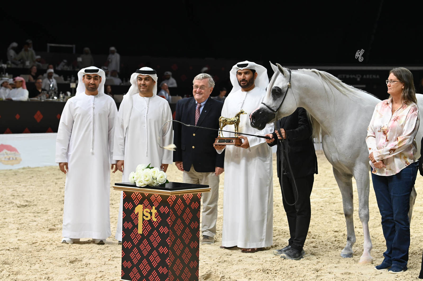 Senior Stallion Bronze Champion: Al Aryam Shklaan 