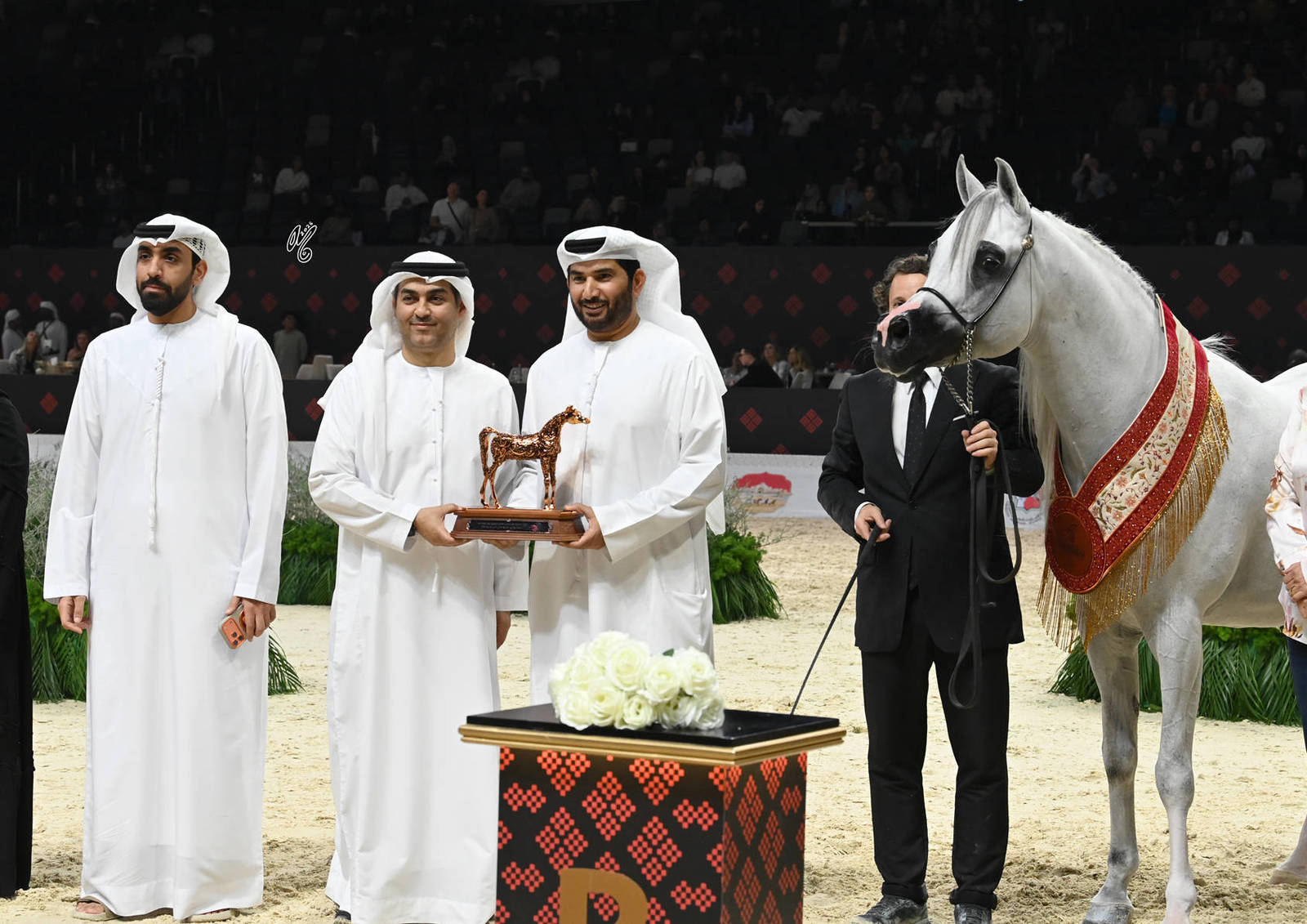 Senior Stallion Bronze Champion: Al Aryam Shklaan 