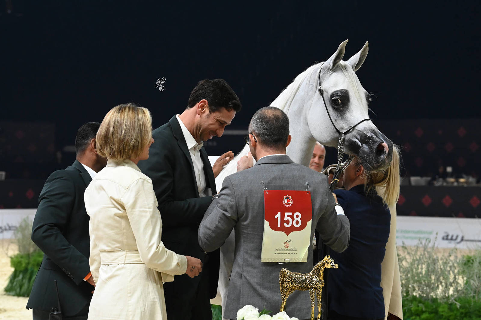 Senior Mare Gold Champion: AJ Asai 