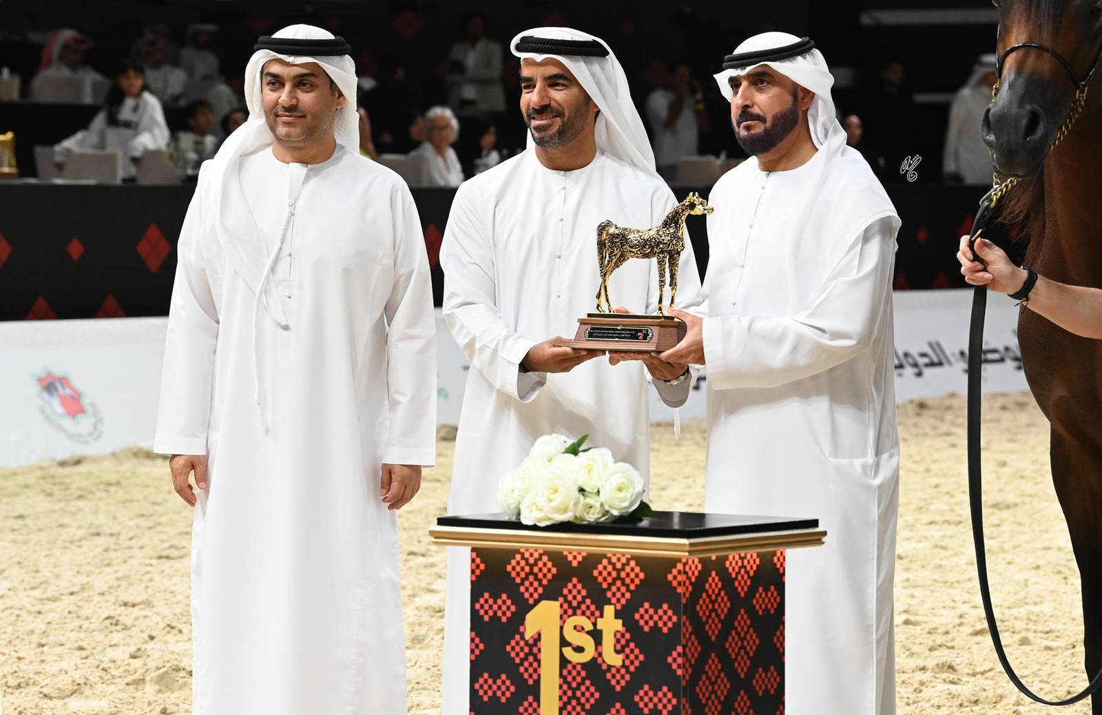 Junior Colt Gold Champion: Rasheed Albidayer 