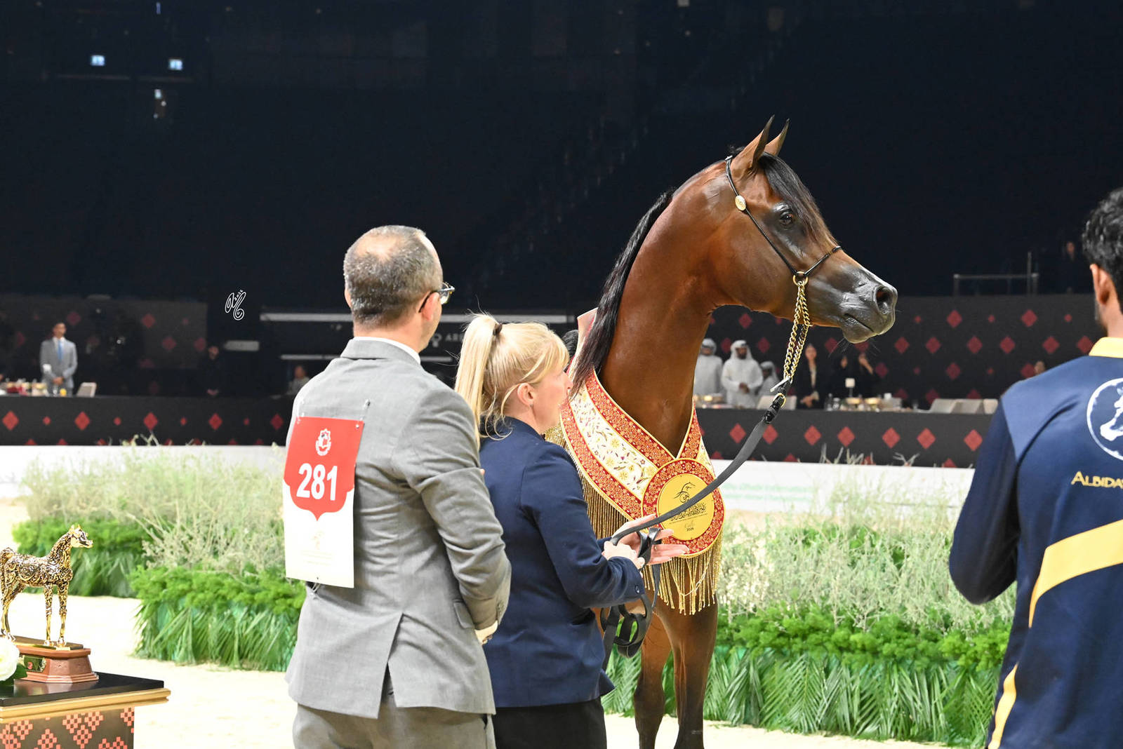 Junior Colt Gold Champion: Rasheed Albidayer 