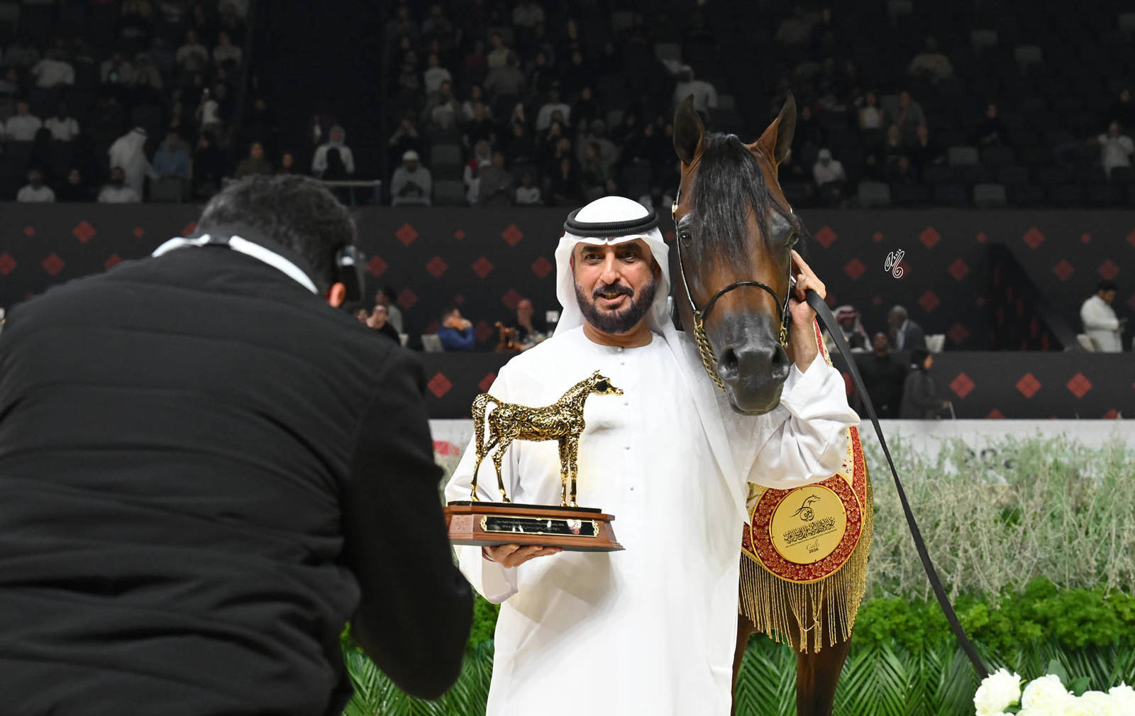 Junior Colt Gold Champion: Rasheed Albidayer 