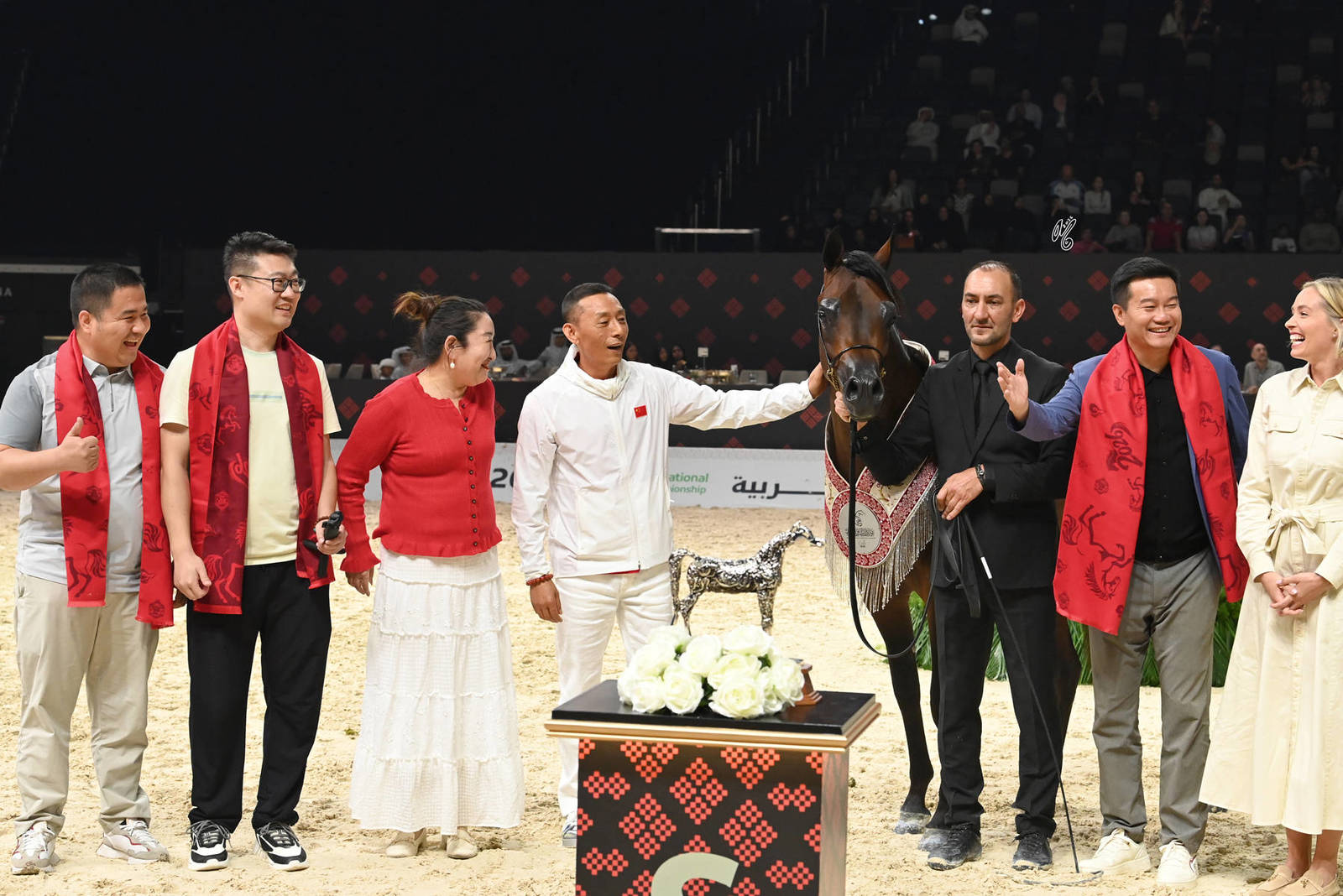 Junior Colt Silver Champion: BV Chazan 