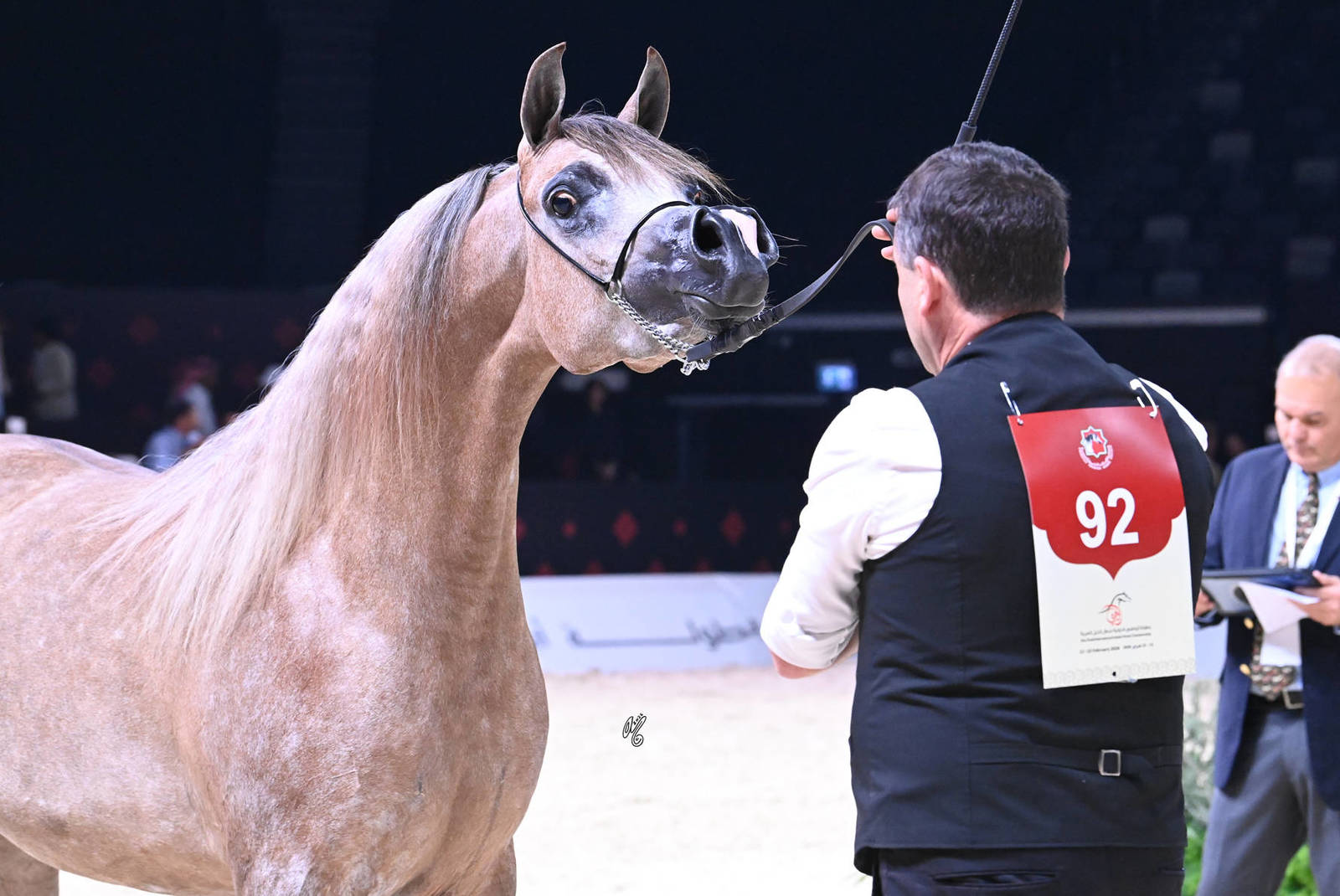 Junior Filly Silver Champion: Sedra Alghazali 