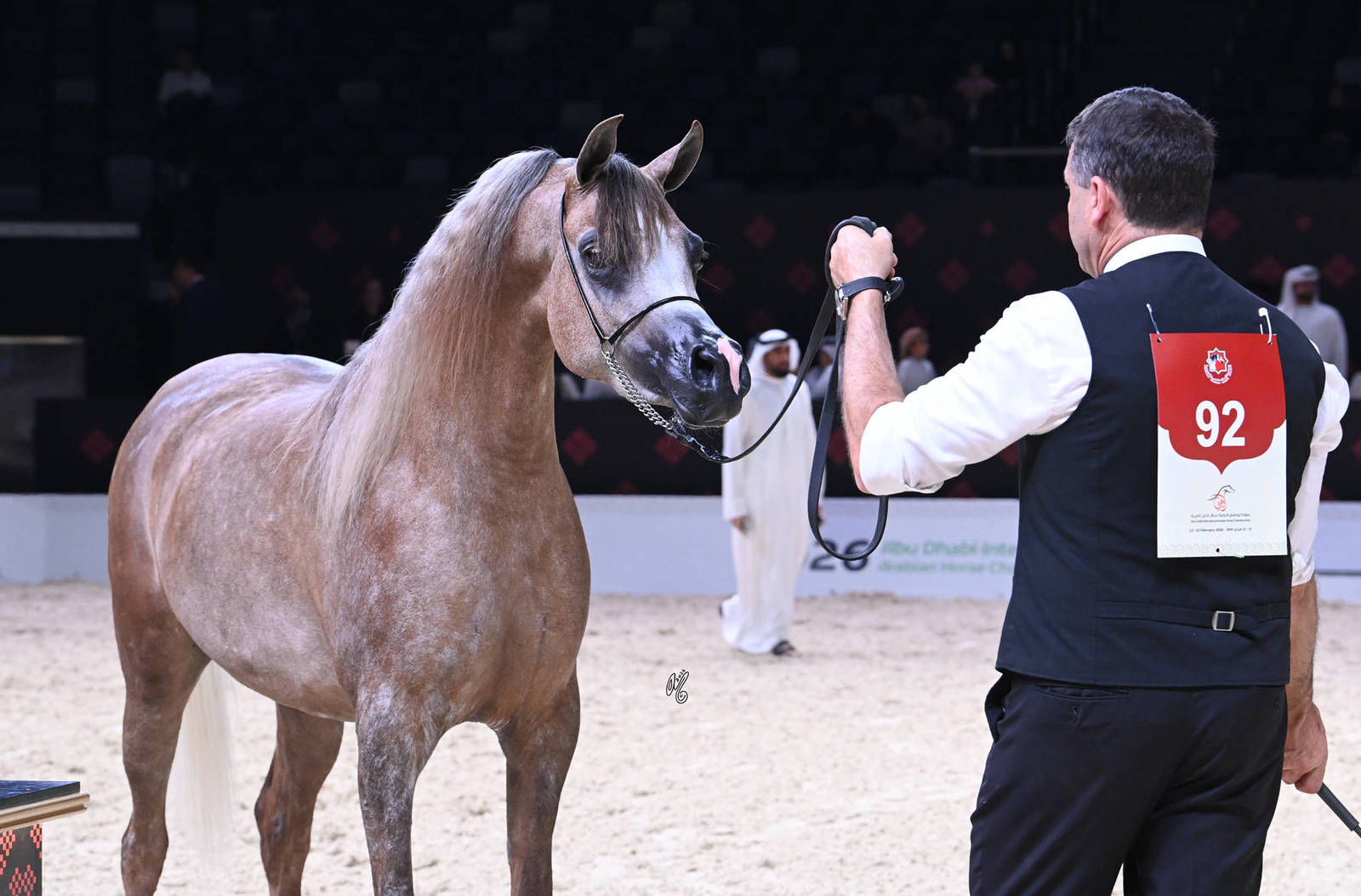 Junior Filly Silver Champion: Sedra Alghazali 