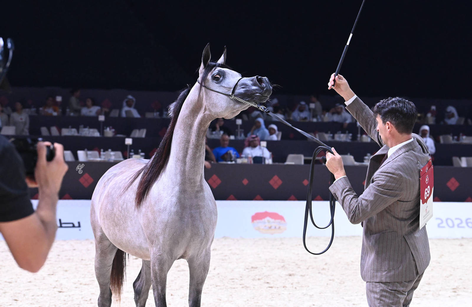 Junior Filly Bronze Champion: D Neeran 