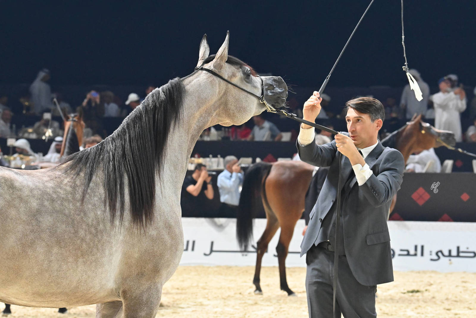 Junior Filly Bronze Champion: D Neeran 