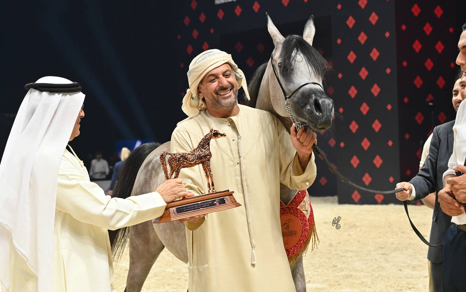 Junior Filly Bronze Champion: D Neeran 