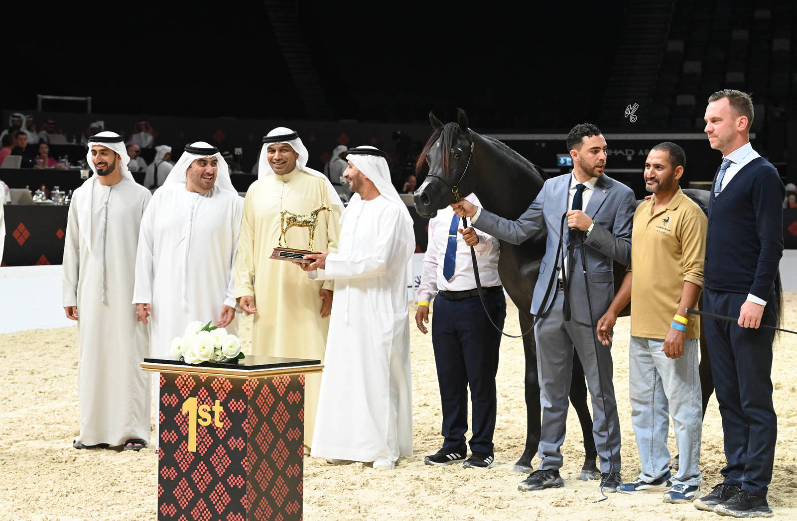 Yearling Colt Gold Champion: Jamran Al Hawajer 