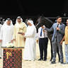 Yearling Colt Gold Champion: Jamran Al Hawajer 