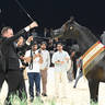 Yearling Colt Gold Champion: Jamran Al Hawajer 