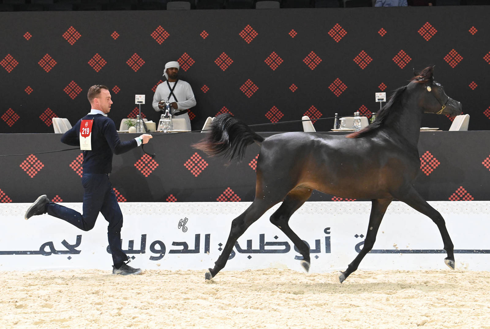 Yearling Colt Gold Champion: Jamran Al Hawajer 