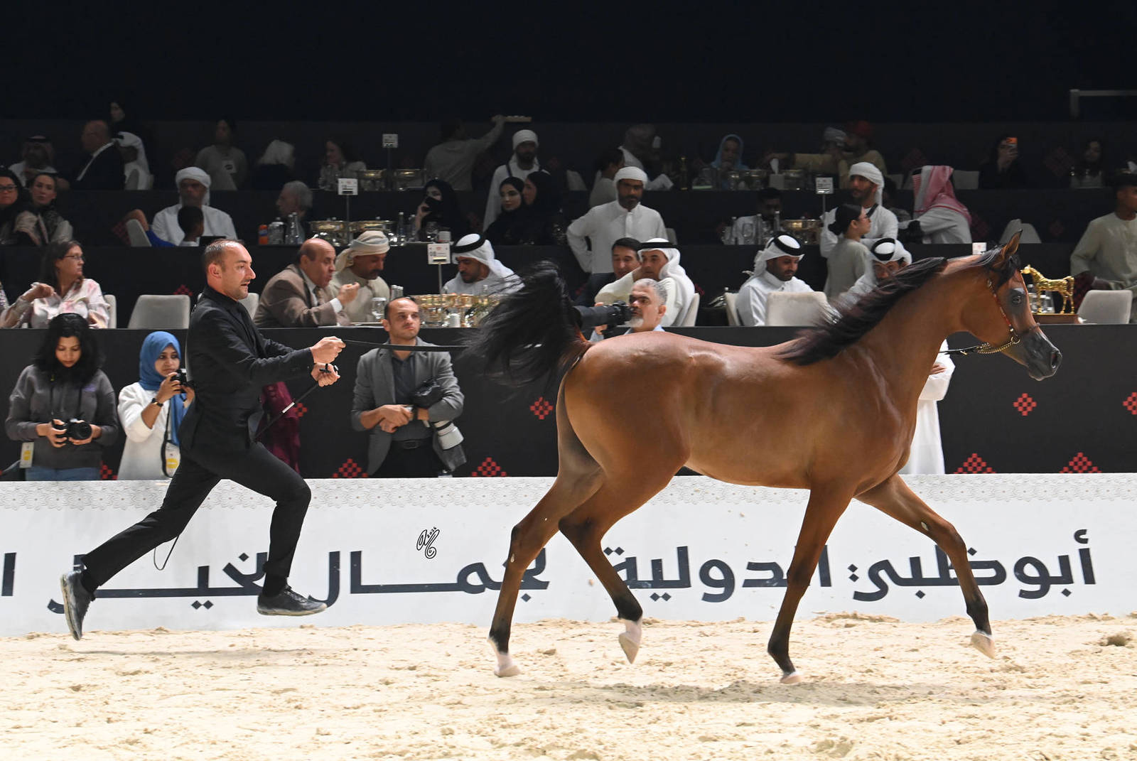 Yearling Colt Silver Champion: AJ Hajes 
